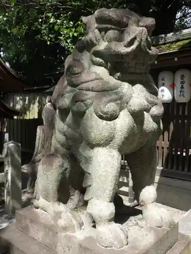 宗像神社の狛犬