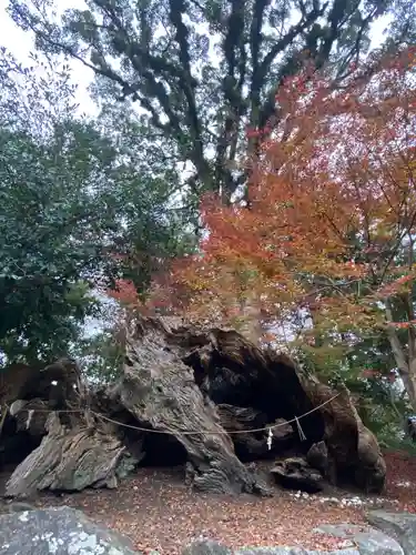 與止日女神社の自然
