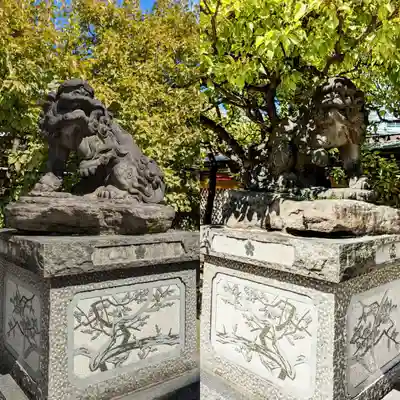 湯島天満宮の狛犬