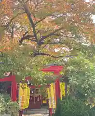 廣田神社～病厄除守護神～(青森県)