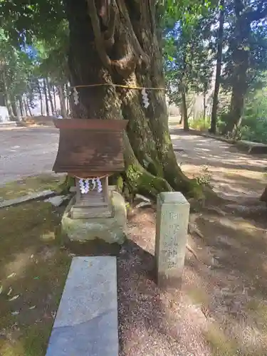 稲田神社(茨城県)