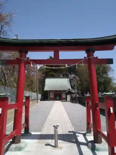 諏訪神社(埼玉県)