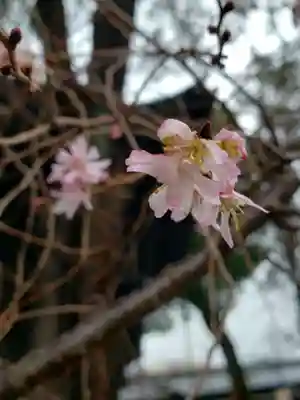 妙法寺(東京都)