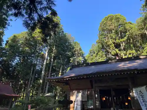 大宮温泉神社(栃木県)