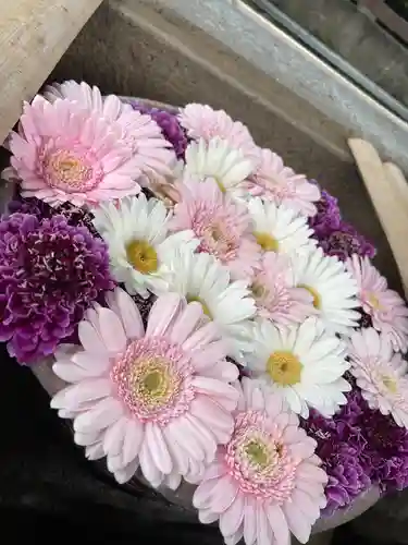 上野東照宮の手水舎