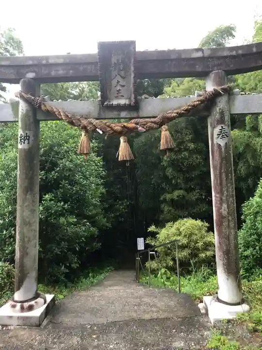 神龍八大龍王神社の鳥居