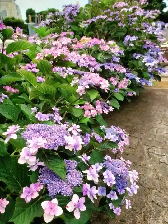 宝祥寺(東京都)