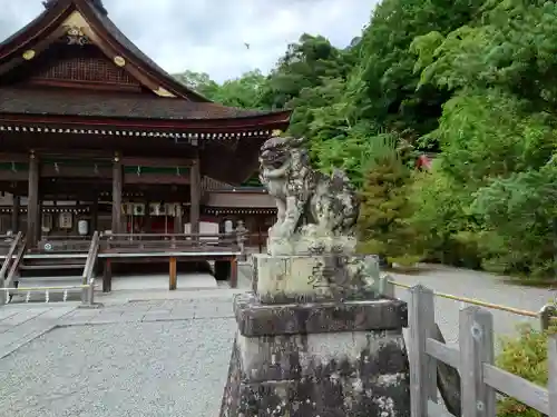 出雲大神宮の狛犬