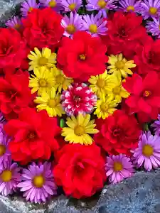 伊達神社の手水舎(2021年10月29日(金) 18時02分38秒投稿)