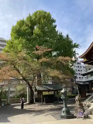 熊野神社のその他建物