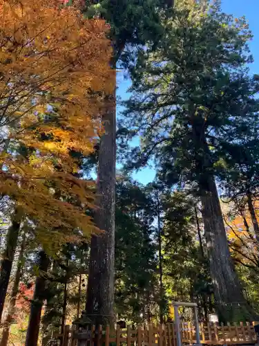 須山浅間神社のその他建物