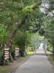 江田神社(宮崎県)