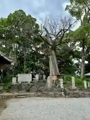 吉祥草寺(奈良県)