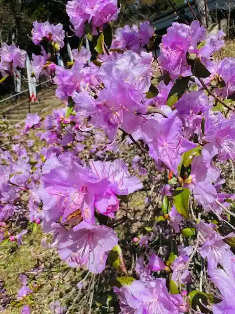 土津神社|こどもと出世の神さま(福島県)