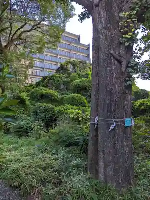 成子天神社(東京都)