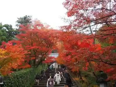 禅林寺(永観堂)(京都府)
