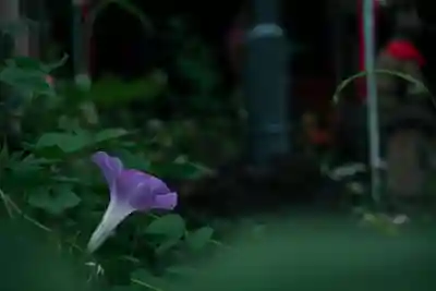 花園稲荷神社(東京都)