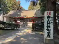 白山神社の{uncategorized: "未分類", other: "その他", undefined: "問題あり", building: "その他建物", grave: "お墓", sacred_gate: "鳥居", guardian: "狛犬", statue: "像", buddha: "仏像", history: "歴史", nature: "自然", garden: "庭園", animal: "動物", pagoda: "塔", temizu: "手水舎", mountain_gate: "山門・神門", sanctuary: "本殿・本堂", subordinate: "末社・摂社", art: "芸術", scenery: "景色", jizo: "地蔵", ema: "絵馬", goshuin: "御朱印", omikuji: "おみくじ", items: "授与品その他", amulet: "お守り", goshuincho: "御朱印帳", eats: "食事", festival: "お祭り", votive_dance: "神楽", shichigosan: "七五三参", wedding: "結婚式", experience: "体験その他", initially: "初詣", around: "周辺", anti_infection: "感染症対策"}