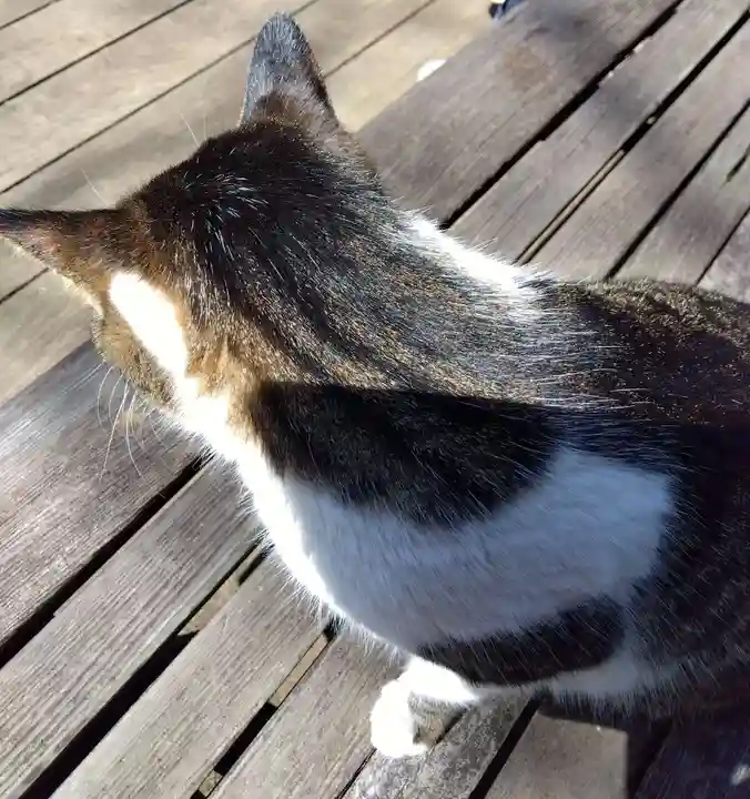 王禅寺(神奈川県)