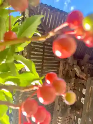 法観寺(京都府)