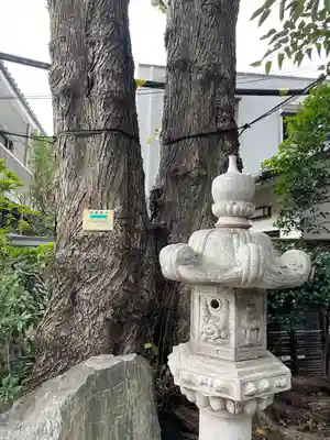 自性院(東京都)