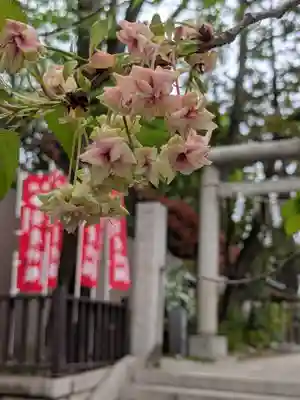 下神明天祖神社(東京都)