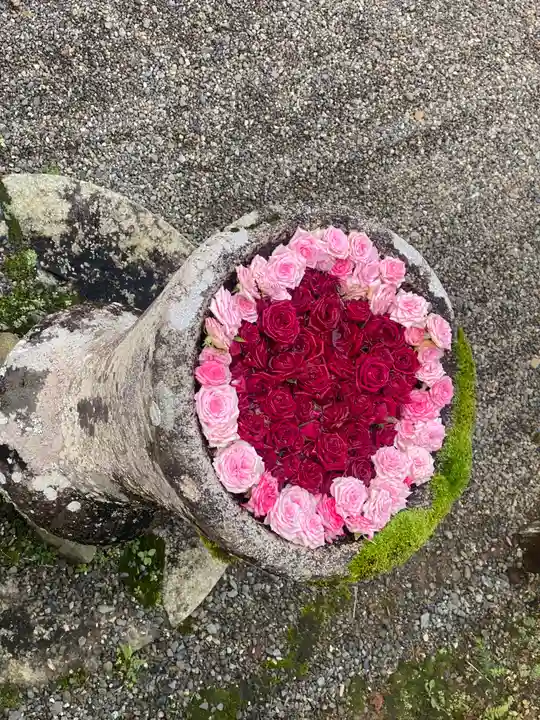 丹生都比売神社(和歌山県)
