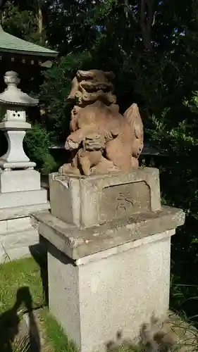 弟橘比賣神社の狛犬