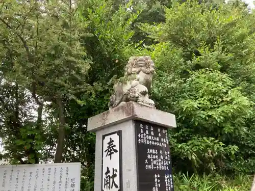 瀧神社の狛犬