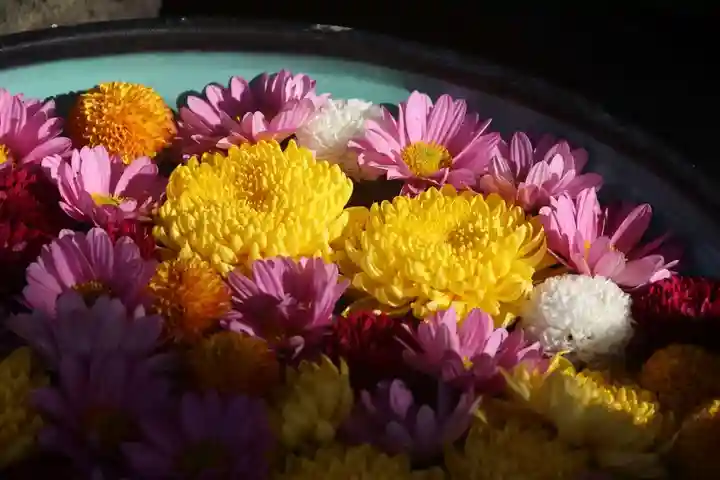 大鏑神社の手水舎