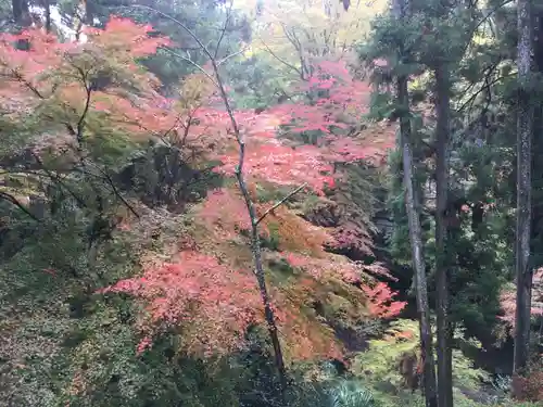 石山寺の自然