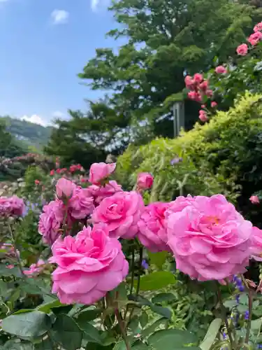 曽我浅間神社の自然