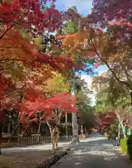 大原野神社の景色