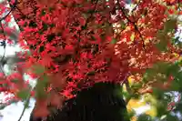 三春大神宮の庭園