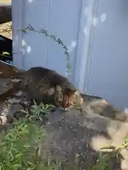 三輪神社の動物