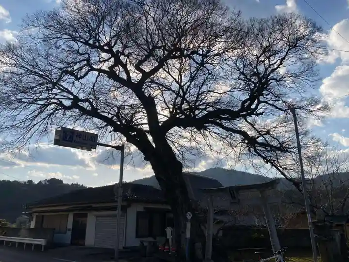 船盡比賣神社(徳島県)