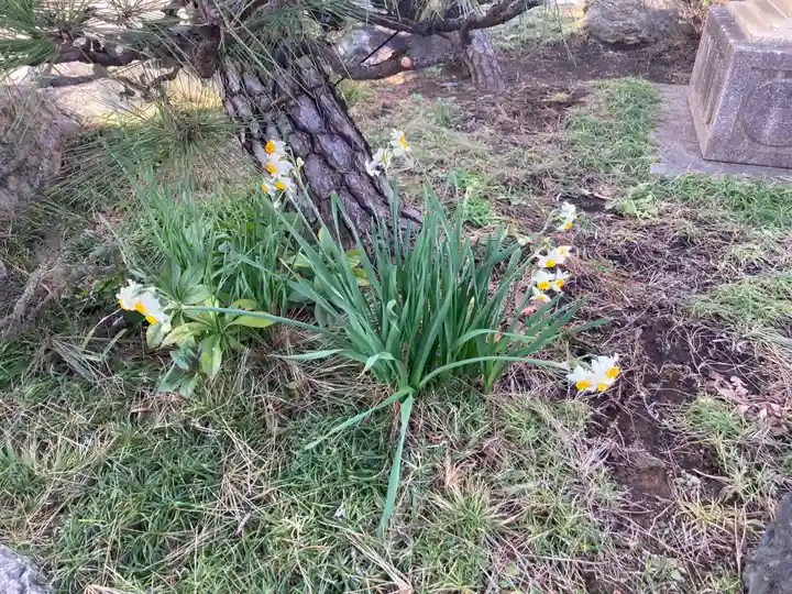 善福寺(神奈川県)