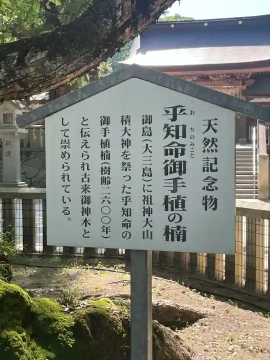 大山祇神社の{uncategorized: "未分類", other: "その他", undefined: "問題あり", building: "その他建物", grave: "お墓", sacred_gate: "鳥居", guardian: "狛犬", statue: "像", buddha: "仏像", history: "歴史", nature: "自然", garden: "庭園", animal: "動物", pagoda: "塔", temizu: "手水舎", mountain_gate: "山門・神門", sanctuary: "本殿・本堂", subordinate: "末社・摂社", art: "芸術", scenery: "景色", jizo: "地蔵", ema: "絵馬", goshuin: "御朱印", omikuji: "おみくじ", items: "授与品その他", amulet: "お守り", goshuincho: "御朱印帳", eats: "食事", festival: "お祭り", votive_dance: "神楽", shichigosan: "七五三参", wedding: "結婚式", experience: "体験その他", initially: "初詣", around: "周辺", anti_infection: "感染症対策"}