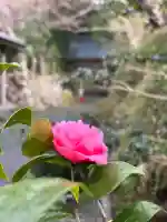 妙楽寺(福井県)