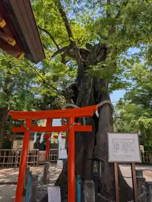 新田神社(東京都)