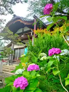 海蔵寺の自然(2021年06月28日(月) 21時28分43秒投稿)