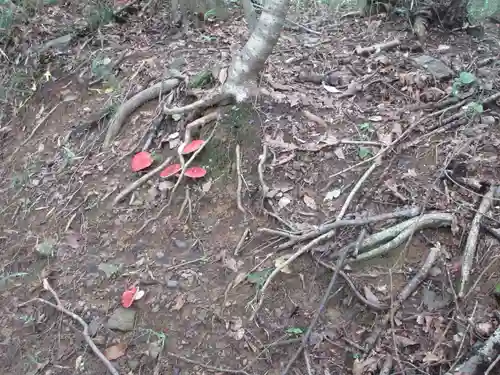 遍照寺(埼玉県)