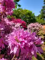 開成山大神宮(福島県)