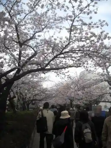 鶴岡八幡宮の自然