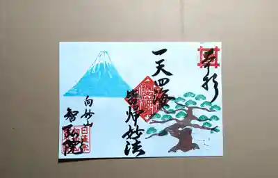 正月限定
富士に松