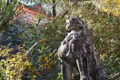 熊野那智大社(和歌山県)