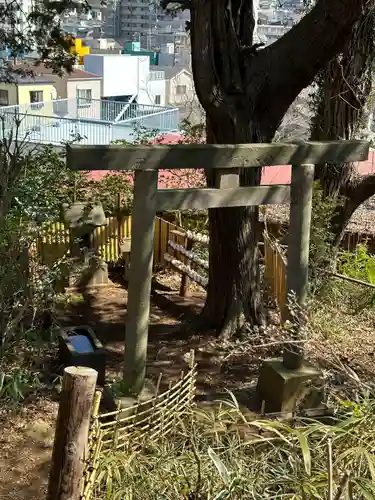 武州白子熊野神社(埼玉県)