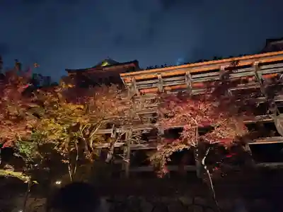 清水寺(京都府)