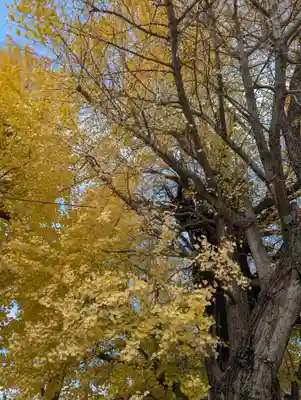 飛木稲荷神社(東京都)