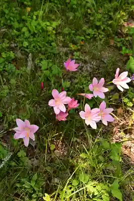 岡森神社(愛媛県)